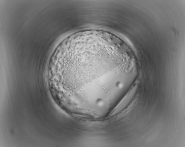 X0000113581247200910161533