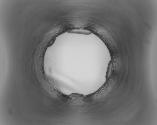 X0000113581249200910161532