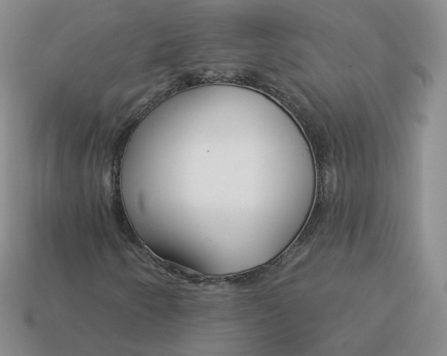 X0000113581250200910161532