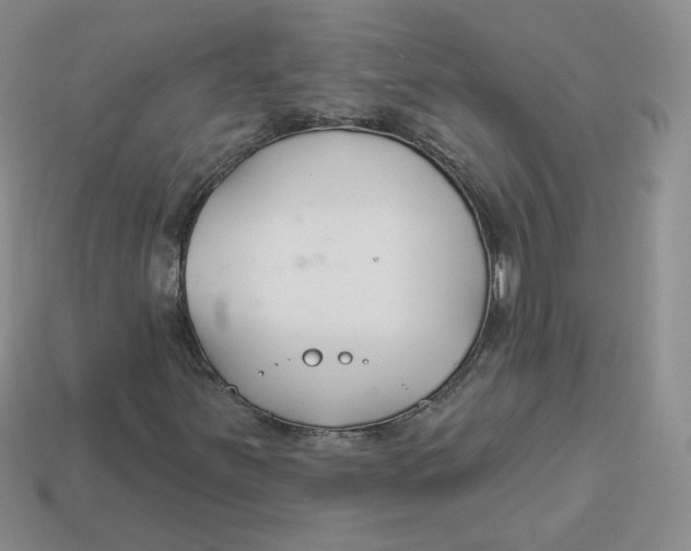 X0000113581251200910161532