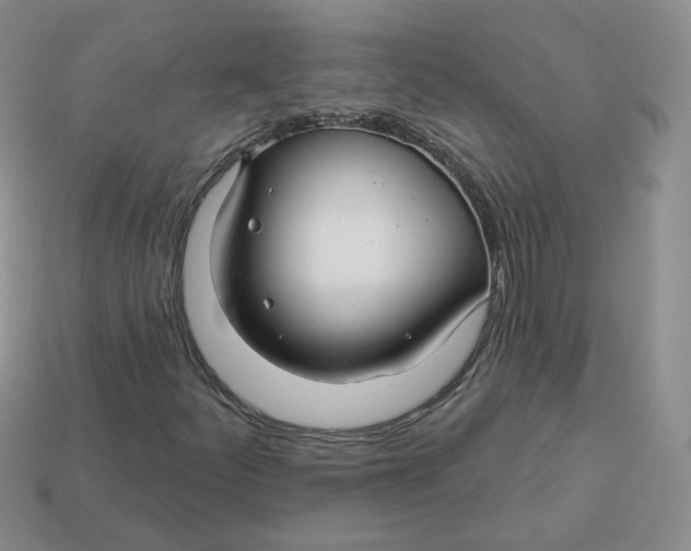 X0000113581252200910161532