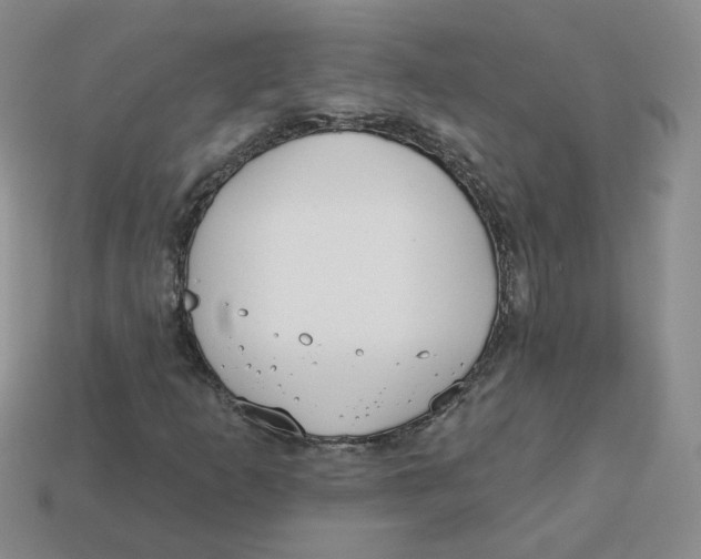 X0000113581253200910161532