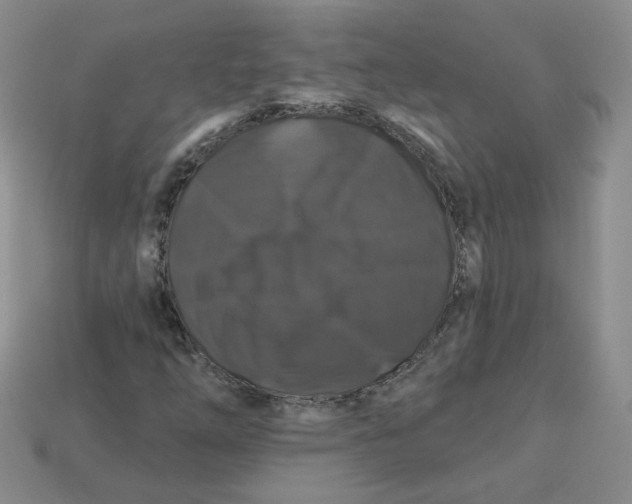 X0000113581254200910161532