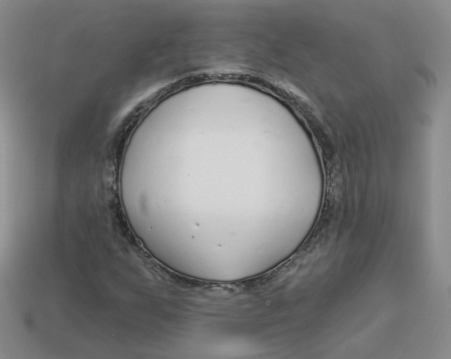 X0000113581255200910161532