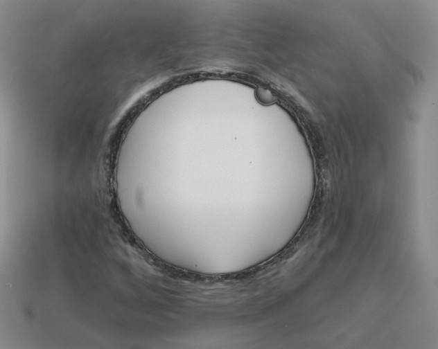 X0000113581256200910161532