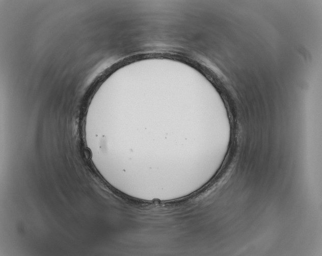 X0000113581259200910161532