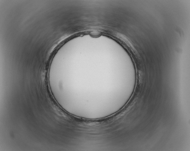 X0000113581260200910161532