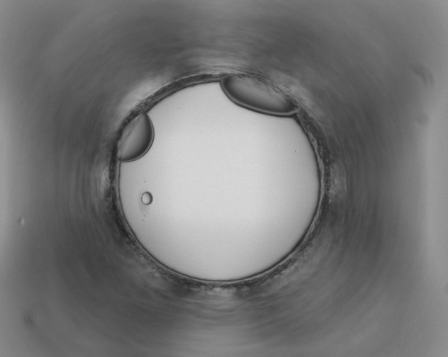 X0000113581261200910161532