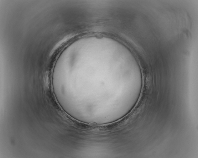 X0000113581262200910161532