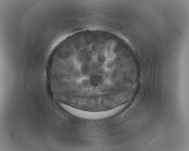 X0000113581263200910161532