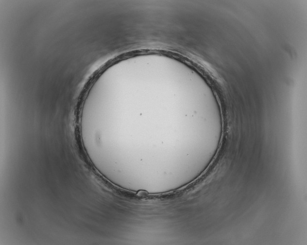 X0000113581264200910161532