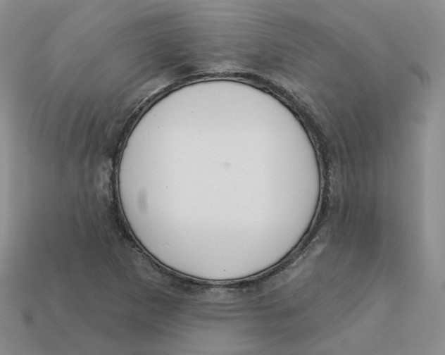 X0000113581265200910161532