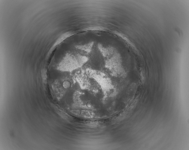 X0000113581266200910161532