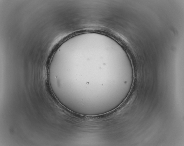 X0000113581267200910161532