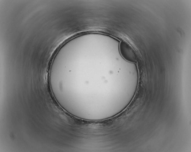 X0000113581268200910161532