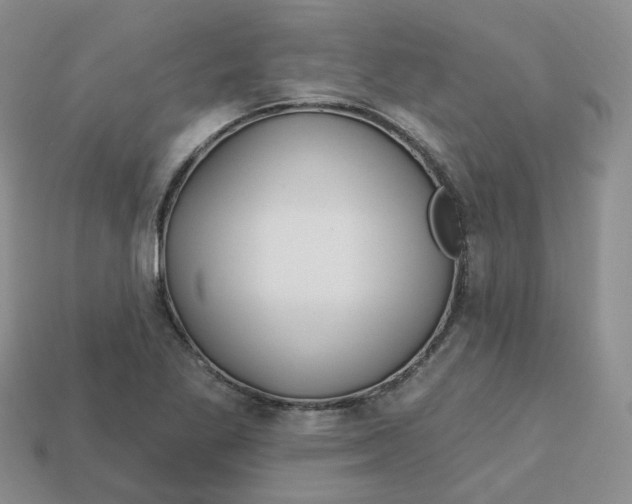 X0000113581269200910161532