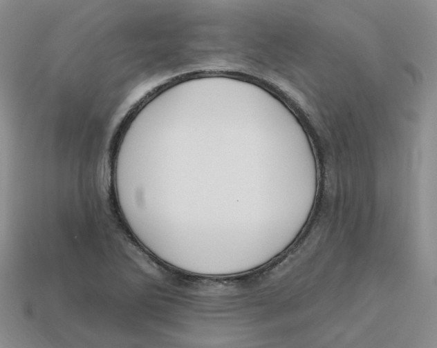 X0000113581270200910161532