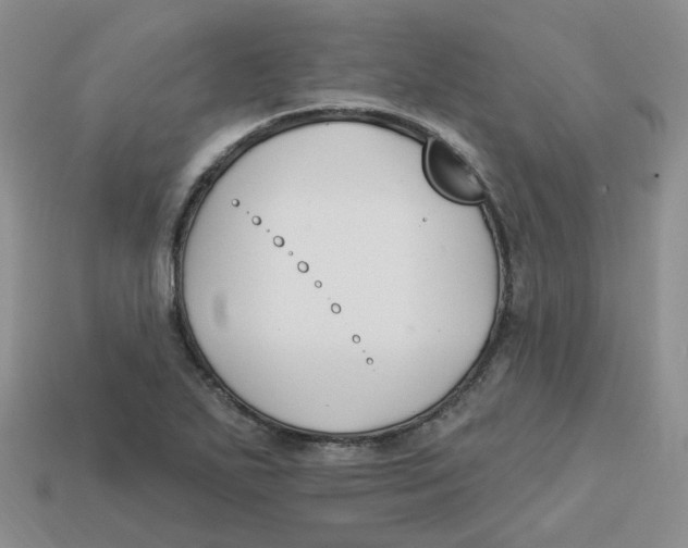 X0000113581271200910161532