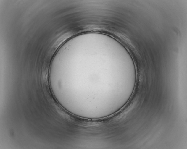 X0000113581273200910161532