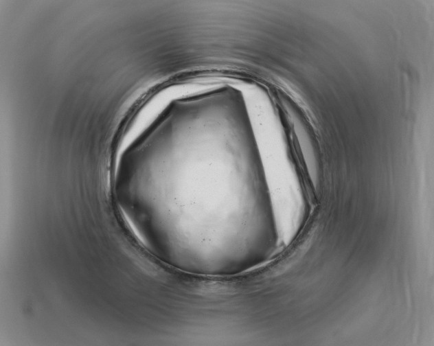 X0000113581275200910161532