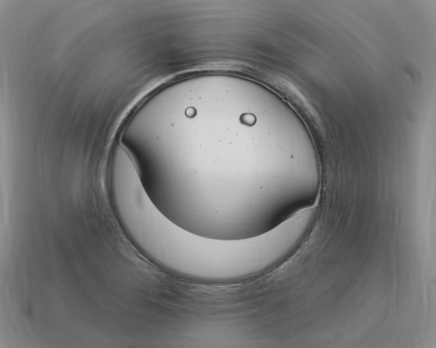 X0000113581276200910161532