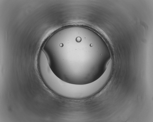 X0000113581277200910161532