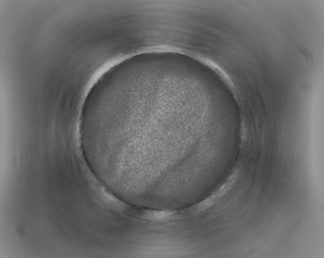 X0000113581278200910161532