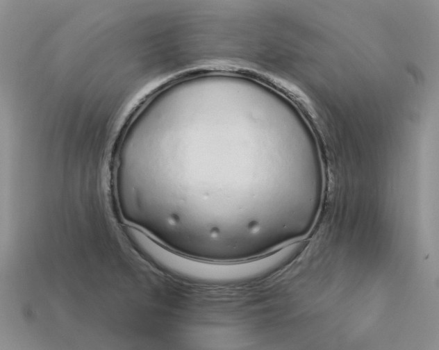 X0000113581279200910161532