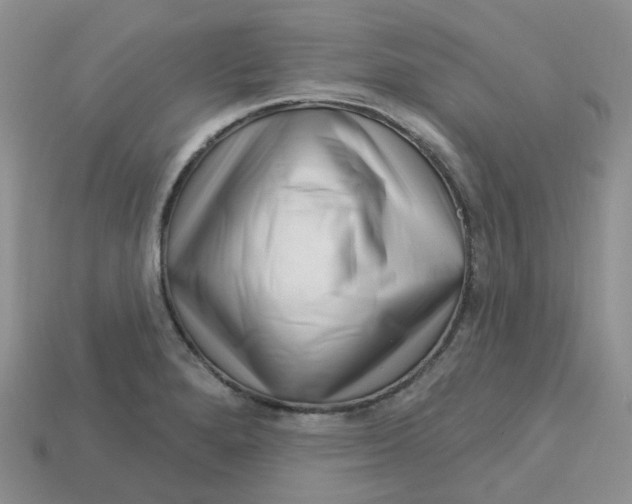 X0000113581280200910161532