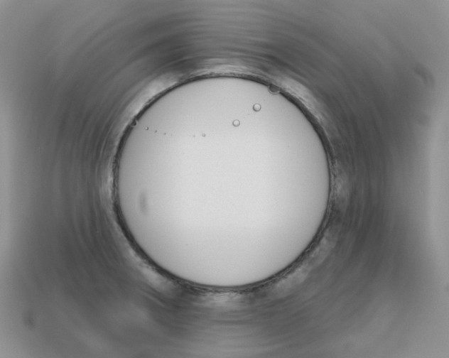 X0000113581282200910161532