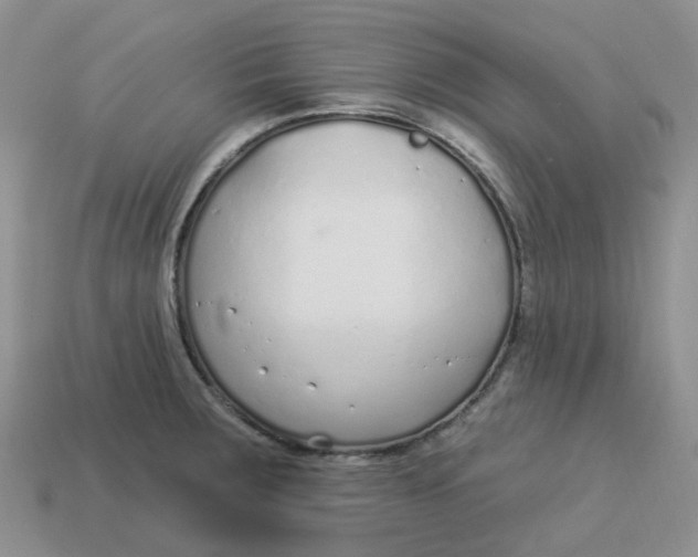 X0000113581283200910161532