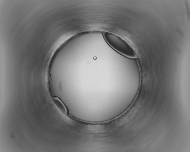 X0000113581285200910161532