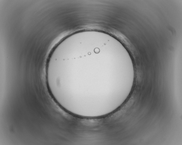 X0000113581286200910161532