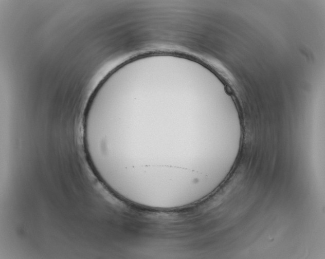 X0000113581287200910161532