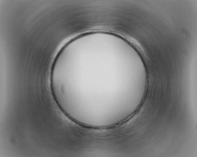 X0000113581288200910161532