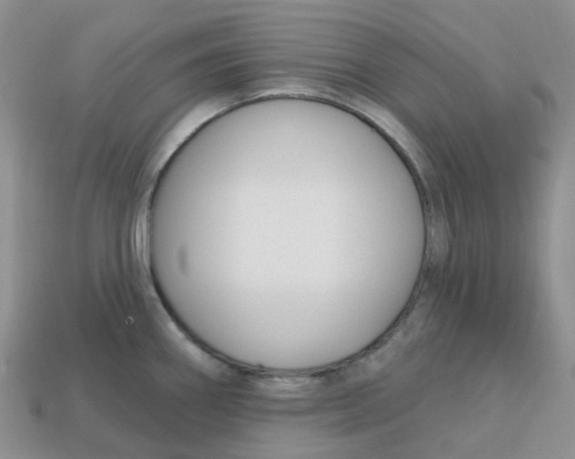 X0000113581290200910161532