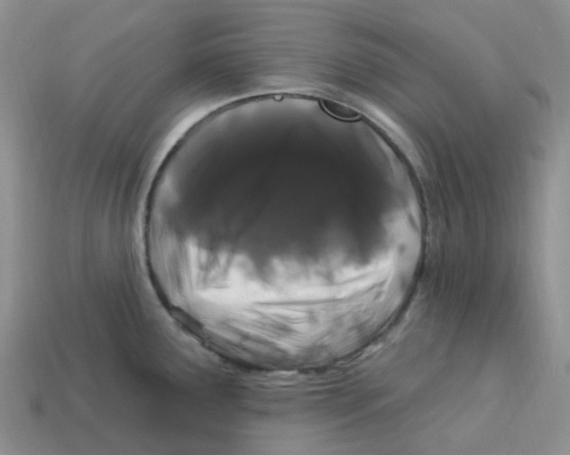 X0000113581291200910161532