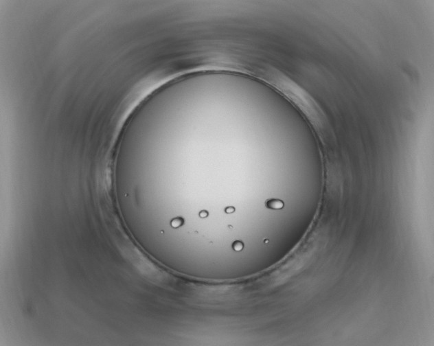 X0000113581292200910161532