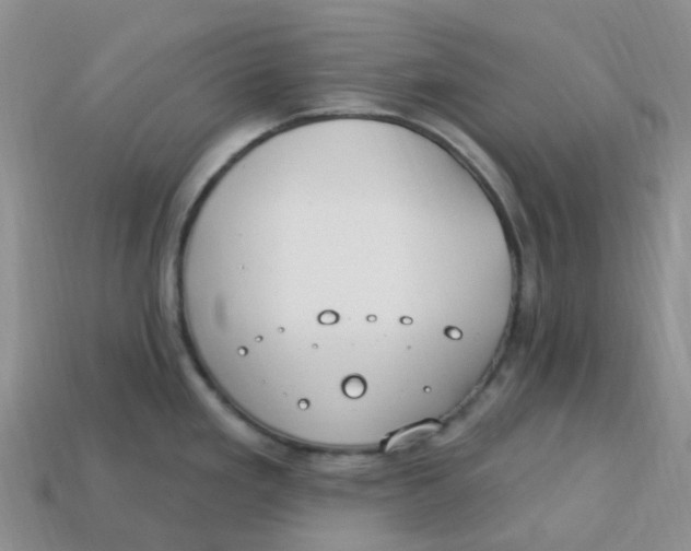 X0000113581293200910161532