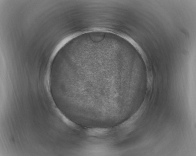 X0000113581294200910161532