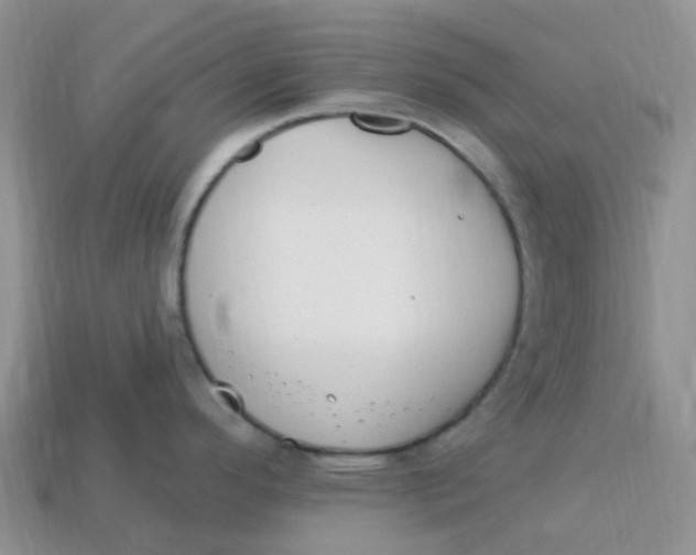 X0000113581296200910161532