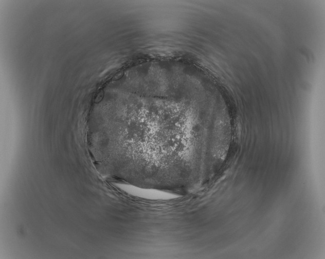 X0000113581297200910161531