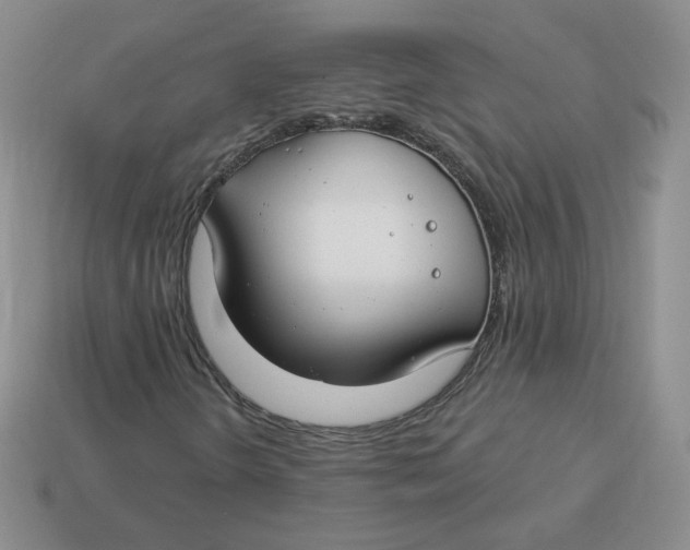 X0000113581298200910161531