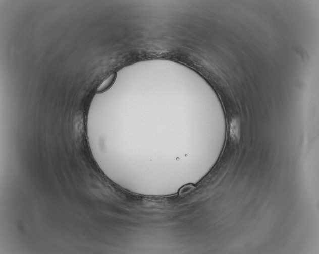 X0000113581299200910161531