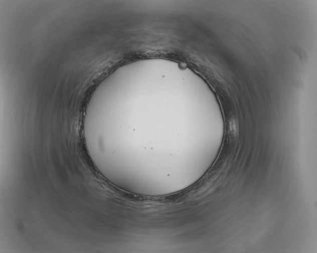 X0000113581300200910161531