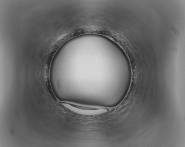 X0000113581301200910161531