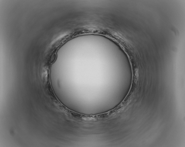 X0000113581302200910161531