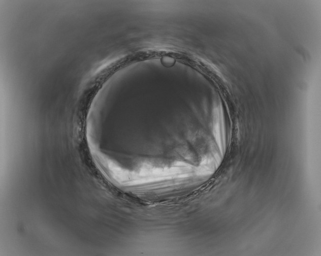 X0000113581303200910161531