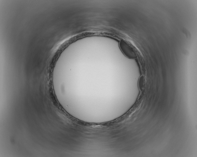 X0000113581304200910161531