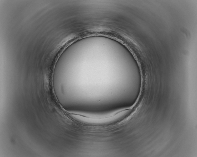 X0000113581305200910161531